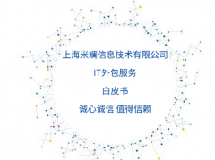 IT外包服务白皮书—上海米斓信息技术有限公司