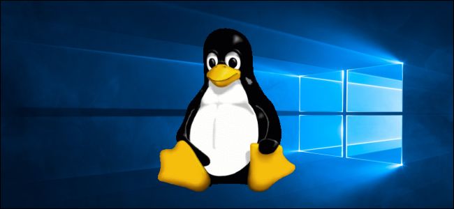 windows WSL Linux系统